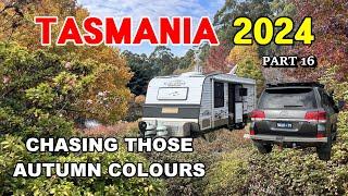 Tasmania 2024 /  Pt 16 - Chasing the Autumn Colours of Tasmania. Latrobe, Sheffield & Devonport.