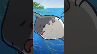 Ocean Sunfish  #animation #original #cartoon