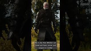 How many Witcher Schools are there? | Witcher Lore #shorts