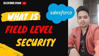 Field level security in salesforce || Field level security in dynamics 365 || Object Security