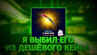 Я ВЫБИЛ ЕГО ИЗ ДЕШЕВОГО КЕЙСА И ЗАБРАЛ В КОЛЛЕКЦИЮ