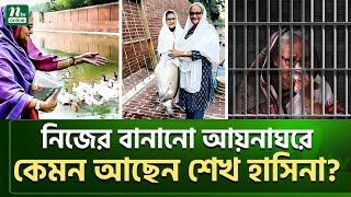 কেমন আছে হাসিনার সেই বোয়াল মাছগুলো ? | Sheikh Hasina | NTV News