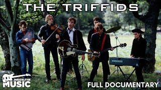 The Triffids | Love In Bright Landscapes | David McComb Music Documentary | The Triffids Band