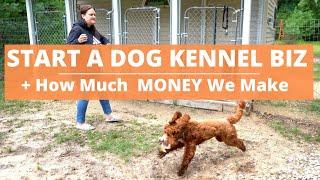 Start a Dog Kennel Business- HOW MUCH WE ARE MAKING! & Ups and Downs...