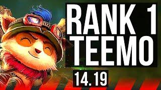 TEEMO vs CAMILLE (TOP) | Rank 1 Teemo, 2200+ games, 6 solo kills | NA Master | 14.19