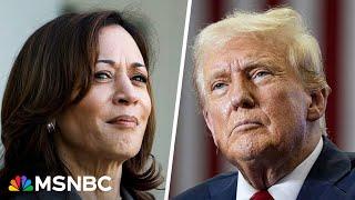Kamala Harris erases Trump's swing state lead in new poll, resetting race