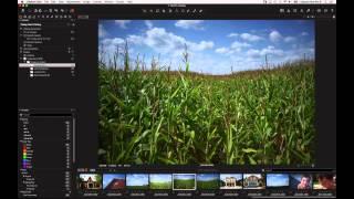 Capture One Pro 8 Webinar | Moving to Capture One and Understanding File Management