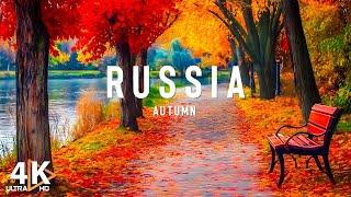 Autumn In Russia 4k Video • Journey to Enjoy Autumn in the Land of the White Birch - Video Travel