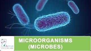 MICROORGANISMS