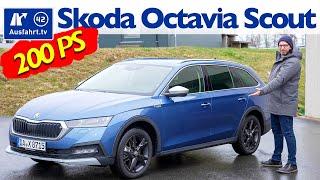 2021 Skoda Octavia Scout 2.0 TDI 200PS DSG 4x4  - Kaufberatung, Test deutsch, Review, Fahrbericht