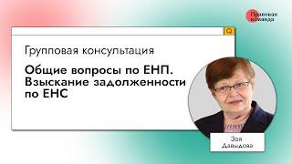 Общие вопросы по ЕНП. Взыскание задолженности по ЕНС