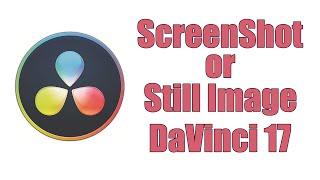 How To Take A Screenshot or Still Image DaVinci Resolve 17