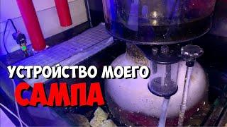 Обзор моего сампа | Куда ставить скиммер | Морской аквариум