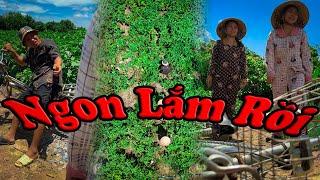 Ngon Lắm Rồi #videogiaitri #vochongson #nguyenhuyvlog