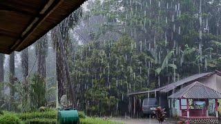 Heavy Rain & Thunderstorms for Sleep Therapy, Fall Asleep Quickly in 5 Minutes | ASMR - Indorain