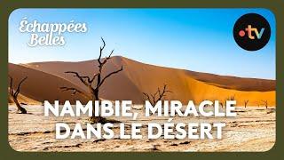 Namibie, un miracle en plein désert - Echappées belles