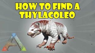 how to find a thylacoleo 