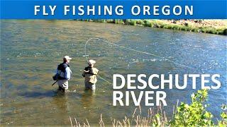 Fly Fishing Oregon's Deschutes River Salmonfly Hatch [Series Episode #40]