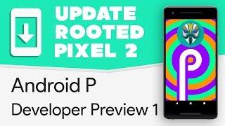 Update Rooted Pixel 2 (XL) to Android P: Developer Preview 1 [fastboot]