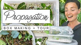 Make Propagation Boxes With Me + TOUR Of My Prop Boxes 