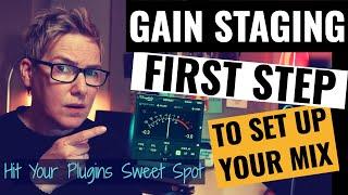 Gain Staging - First Simple Step To Set Up Your Mix