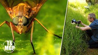 Macro Photography: A Garden Safari Guide | Take and Make Great Photography with Gavin Hoey