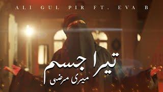 Tera Jism Meri Marzi - Ali Gul Pir Ft. Eva B