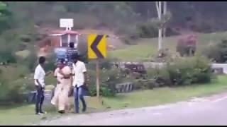 elephant attack in munnar