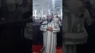 Viral Video Kucing Lompat ke Pundak Imam saat Tarawih