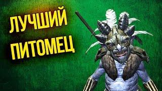 Skyrim Лучший Питомец Рьеклинг воин и лучник - Руководство  Как получить в напарники