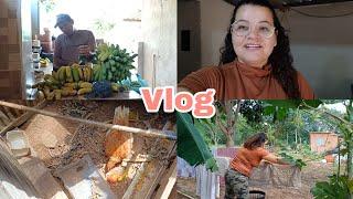 VLOG DO DIA  ROTINA NA CHÁCARA E TRABALHO NA CIDADE | MACHUQUEI