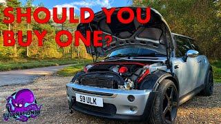 PERFORMANCE ON A BUDGET! 6 REASONS WHY YOU SHOULD BUY AN R53!