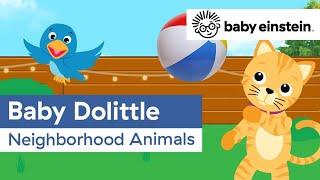 Neighborhood Animals | Baby Einstein Classics | Learning Show for Toddlers | Kids Cartoons