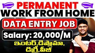 Data Entry Jobs | Permanent Work from home job | 12th pass to Any degree | Earn 20K/Month |NO Skills