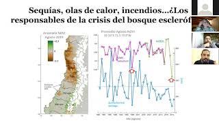 4° Café Científico: BOSQUE ESCLERÓFILO EN CRISIS