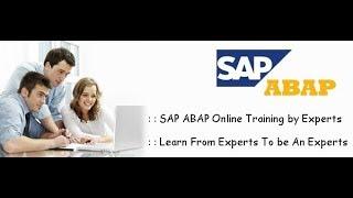 In this video lecture kumar explains the SAP ABAP. explains how they all work together in harmony.