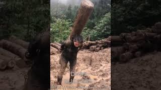 Chineses woman hard working in forest, wood cutting in China