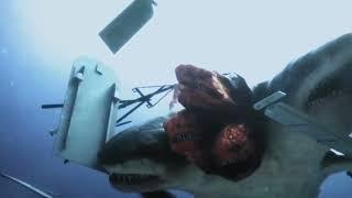 3 headed shark attack death scene [with 2 headed shark attack sounds]