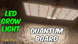 Spider Farmer SF2000 LED Grow Light Unboxing, PAR test, and Review