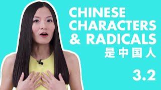 Chinese Characters for Beginners 3.2 | Basic Chinese Characters Course | HSK Level1 Characters
