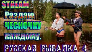 РУССКАЯ РЫБАЛКА 4 // КАРПЫ НА ЯНТАРКЕ //