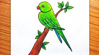 Parrot Drawing Easy, Parrot on Tree Drawing, How to Draw a Bird, Bird Drawing