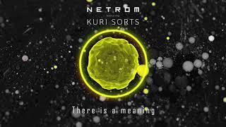 NETROM - There is a meaning (ft.  Kuri Sorts)