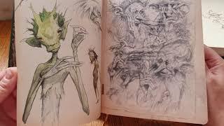 A Brian Froud sketchbook, how cool is that!