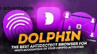 DOLPHIN (ANTY) The Best anti-detect Browser For crypto currency