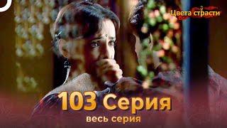 Цвета Страсти Индийский сериал 103 Серия | Русский Дубляж