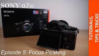 How to activate Focus Peaking in your Sony Alpha 7III / 7RIII / 7RIV - Fast & Easy Tutorial