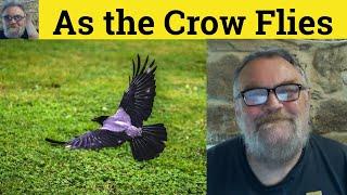  As the Crow Flies Meaning - As the Crow Flies Definition - As the Crow Flies Examples - Idioms