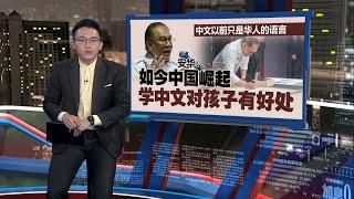 中文以前仅是华人语言     安华：中国崛起   孩子学中文有优势｜新闻报报看 11/01/2025