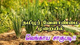 வெங்காய சாகுபடி | தமிழர் வேளாண்மை | Tamil Culture